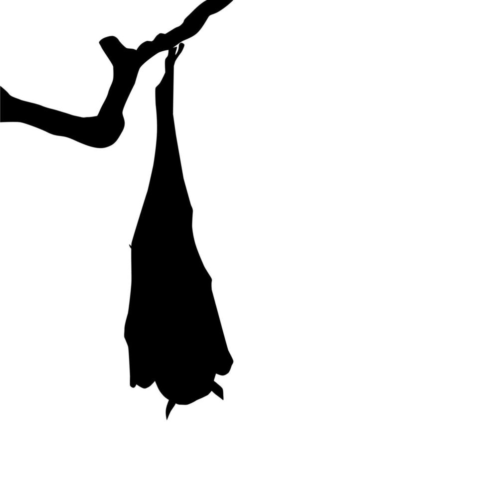 addormentato pipistrello su il ramo albero silhouette per Halloween manifesto, arte illustrazione, orrore film o film manifesto di per grafico design elemento. vettore illustrazione