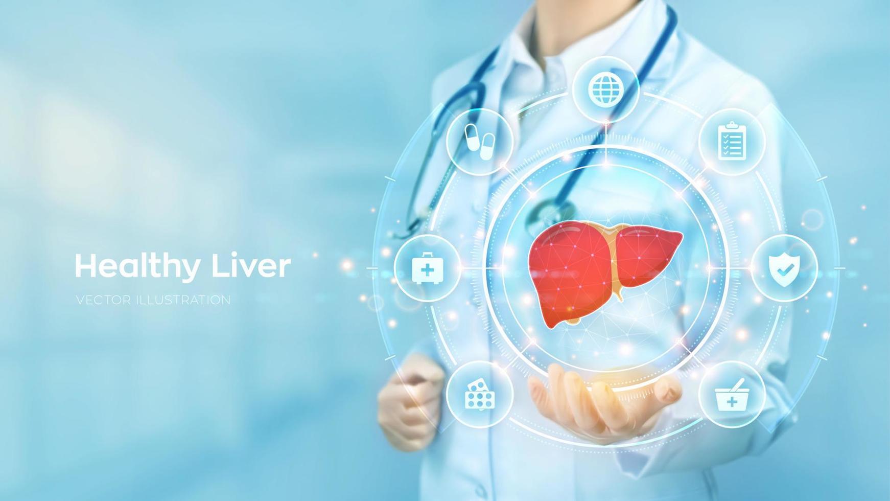 salutare fegato. cirrosi e epatite trattamento medico concetto. medico Tenere nel mano il ologramma di umano fegato e medicina icone Rete connessione su virtuale schermo. vettore illustrazione.