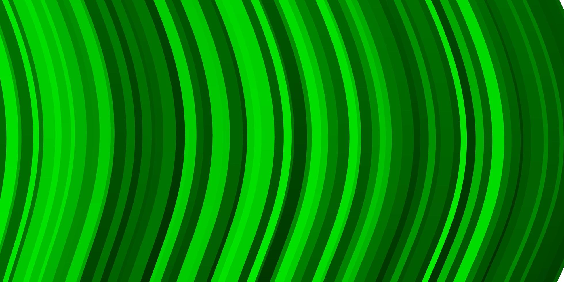 sfondo vettoriale verde chiaro con linee piegate.