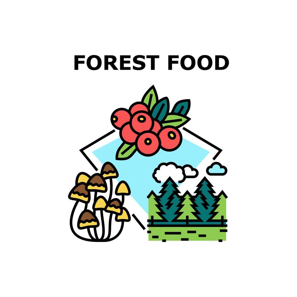 foresta cibo vettore concetto colore illustrazione