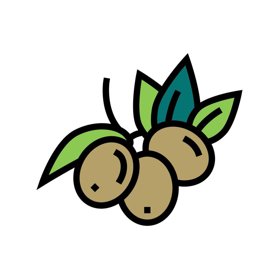 oliva frutti di bosco colore icona vettore illustrazione