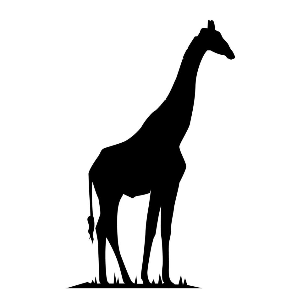 vettore silhouette di un' giraffa. giraffa vettore. giraffa vettore silhouette. giraffe silhouette.