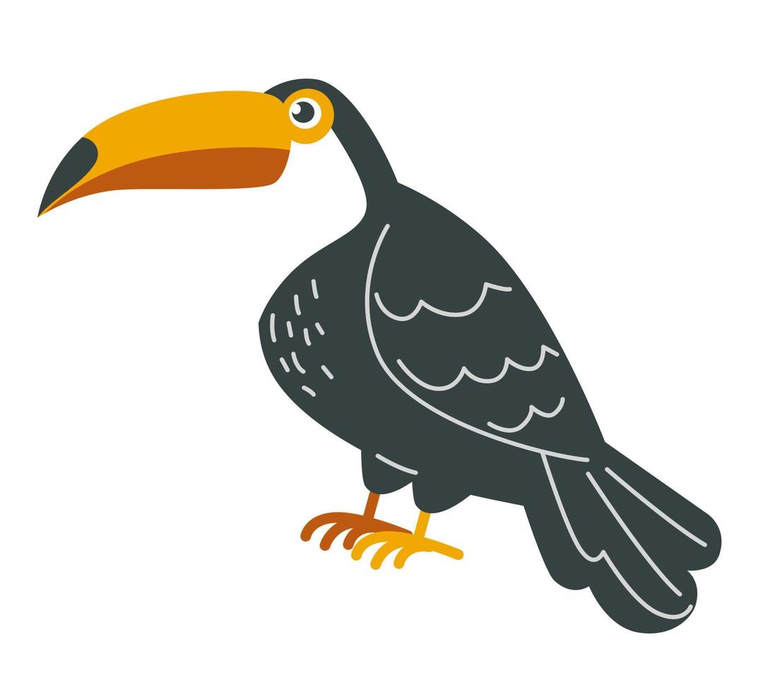 tucano uccello, tropicale fauna con nero piume vettore