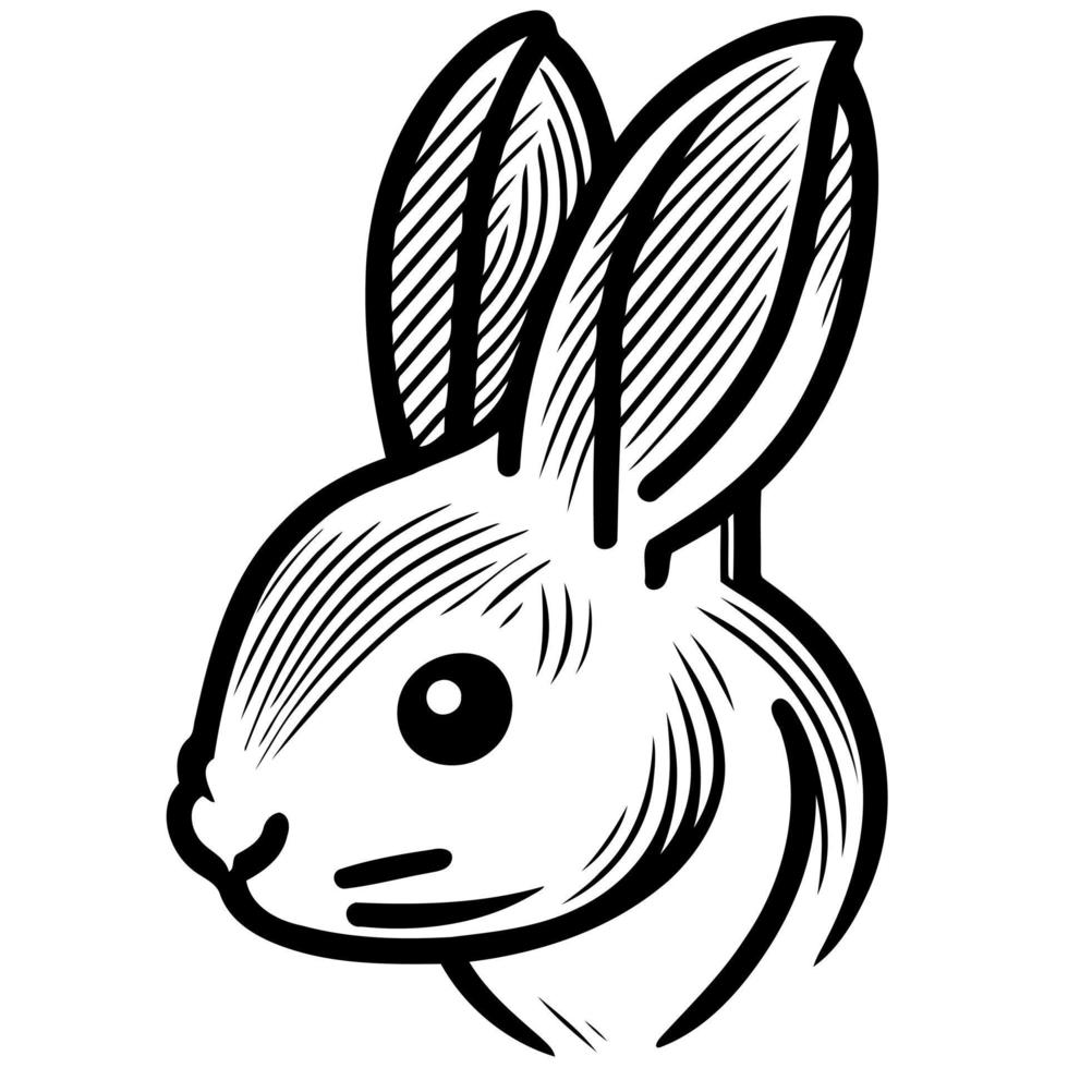 coniglietto coniglio mammifero animale testa vettore