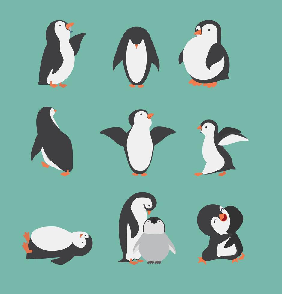 simpatici personaggi pinguino in diverse pose impostate vettore