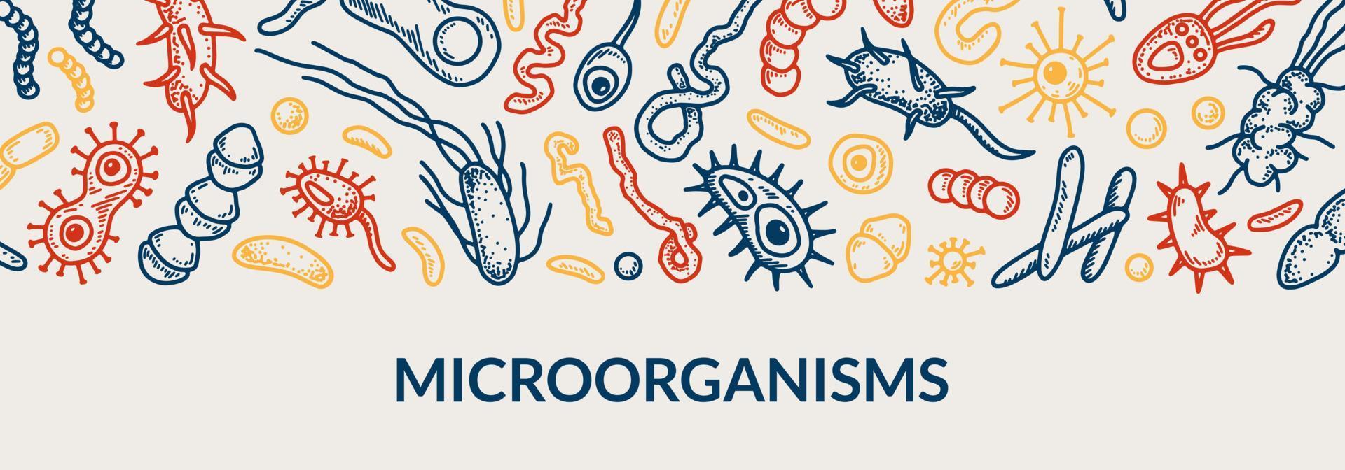 microbiologia striscione. collezione di diverso tipi di microrganismi. scientifico vettore illustrazione nel schizzo stile