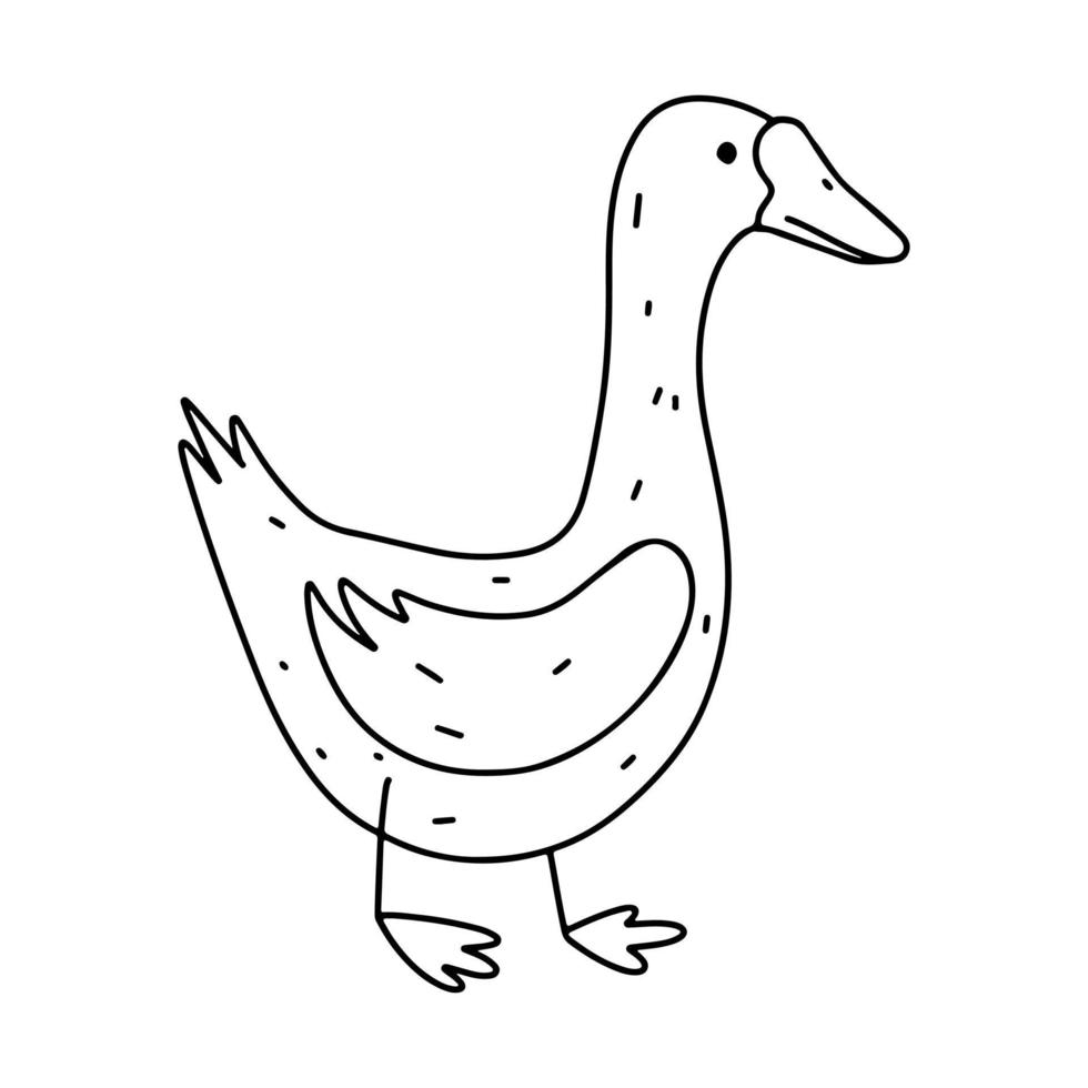 Oca pollame nel mano disegnato scarabocchio stile. carino domestico uccello. vettore illustrazione isolato su bianca sfondo.