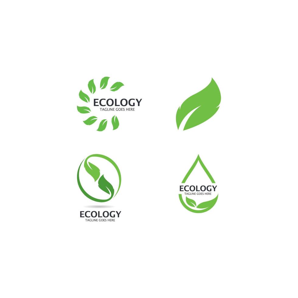 ecologia albero foglia logo modello vettore