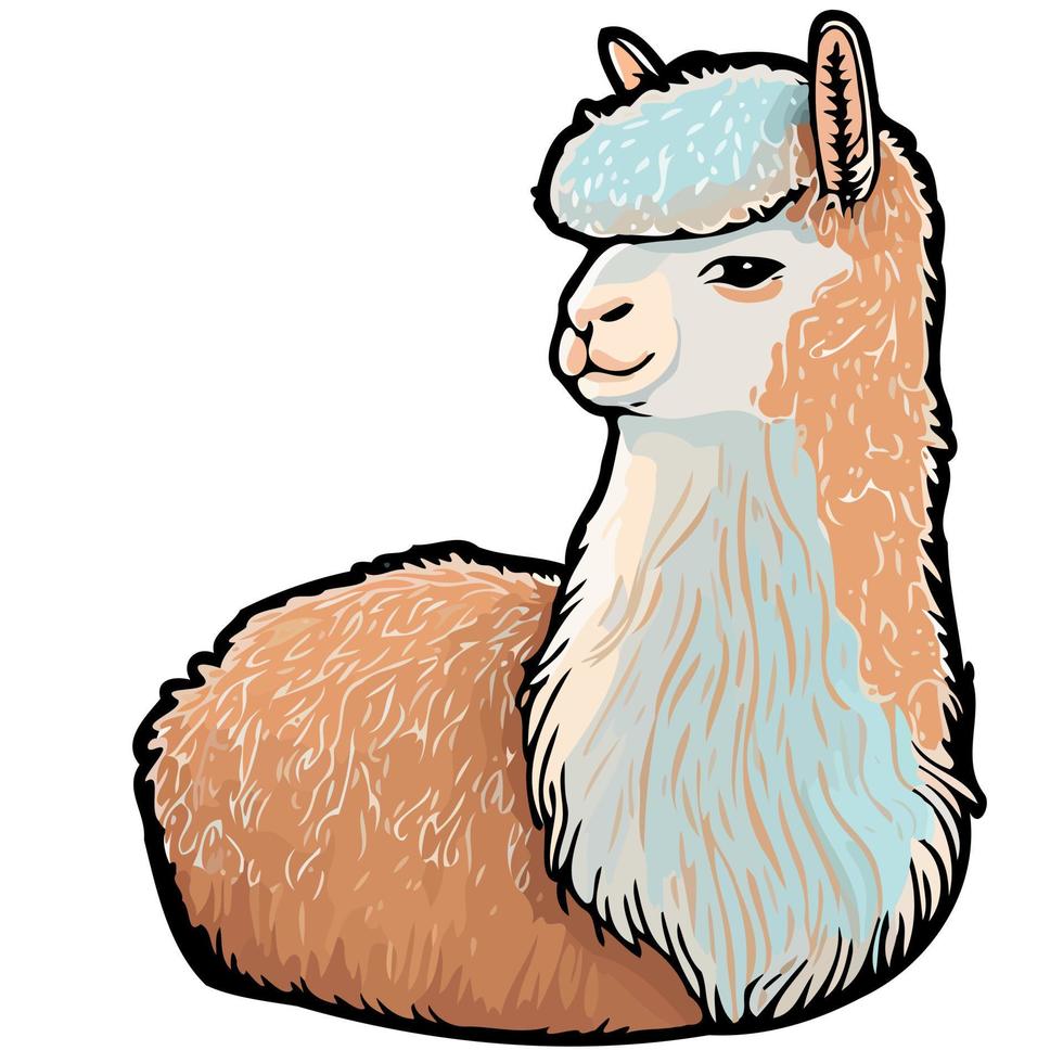 alpaca mammifero animale corpo vettore