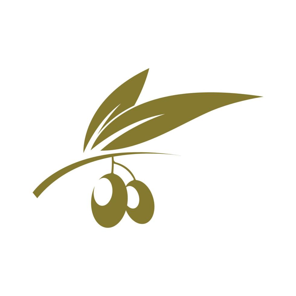 modello logo oliva vettore