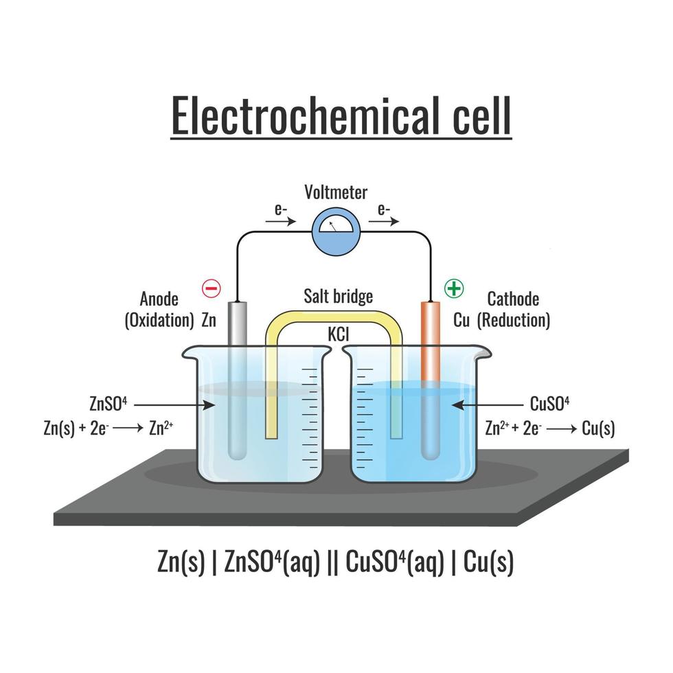 elettrochimico cellula o galvanico cellula con voltmetro e il funzione di sale ponte vettore