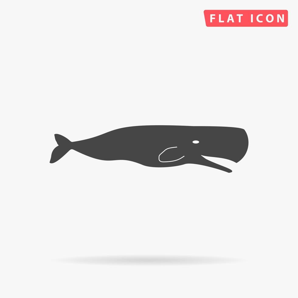 sperma balena. semplice piatto nero simbolo con ombra su bianca sfondo. vettore illustrazione pittogramma