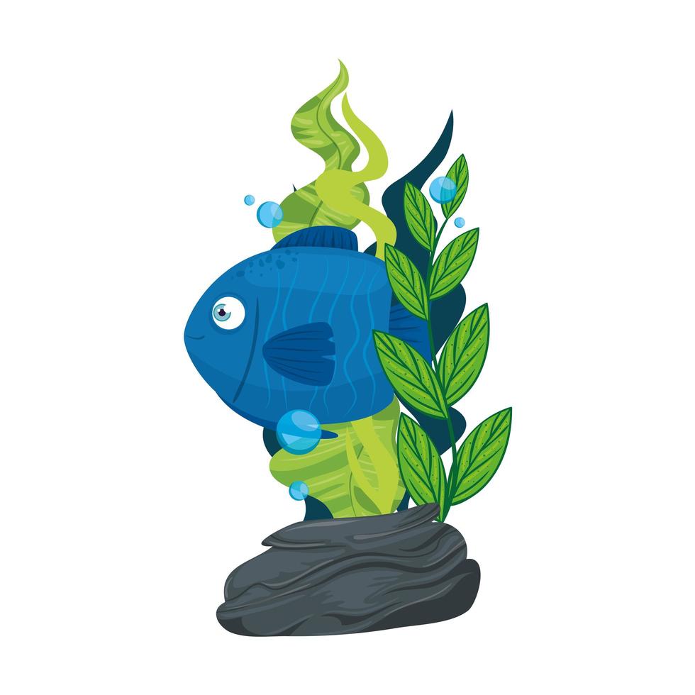 vita sottomarina di mare, simpatico pesce di colore blu con alghe, su sfondo bianco vettore