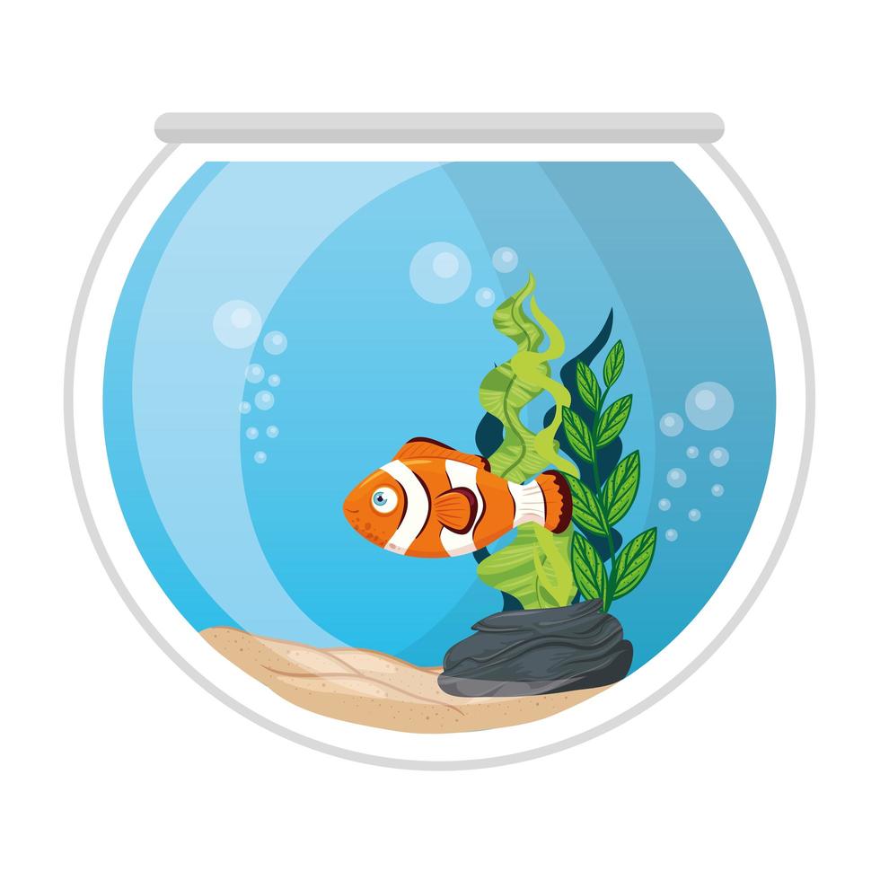 pesci pagliaccio acquario con acqua, alghe, animali marini dell'acquario vettore