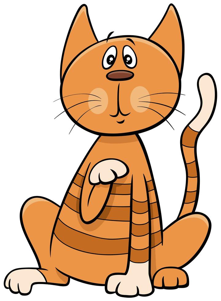 personaggio animale dei cartoni animati di gatto o gattino sorpreso vettore