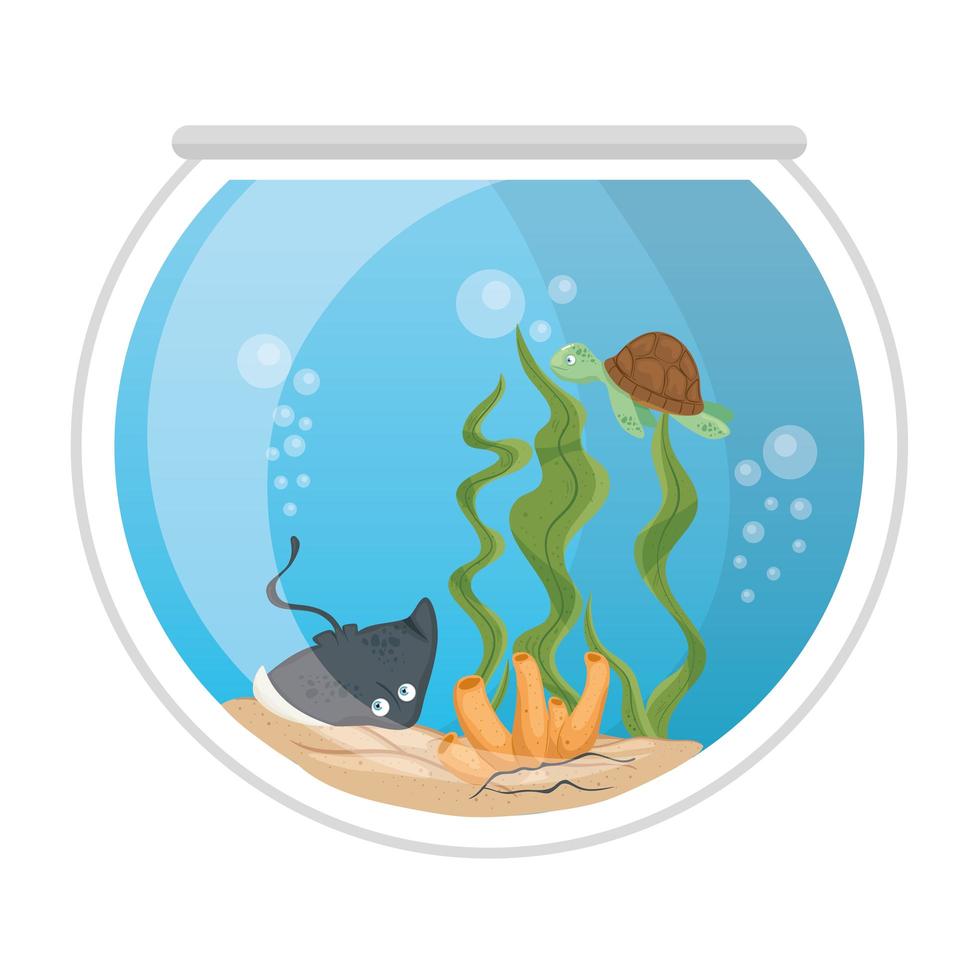 pastinaca acquario e tartaruga con acqua, alghe, coralli, animali marini dell'acquario vettore