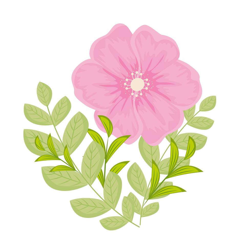 fiore rosa con foglie disegno vettoriale