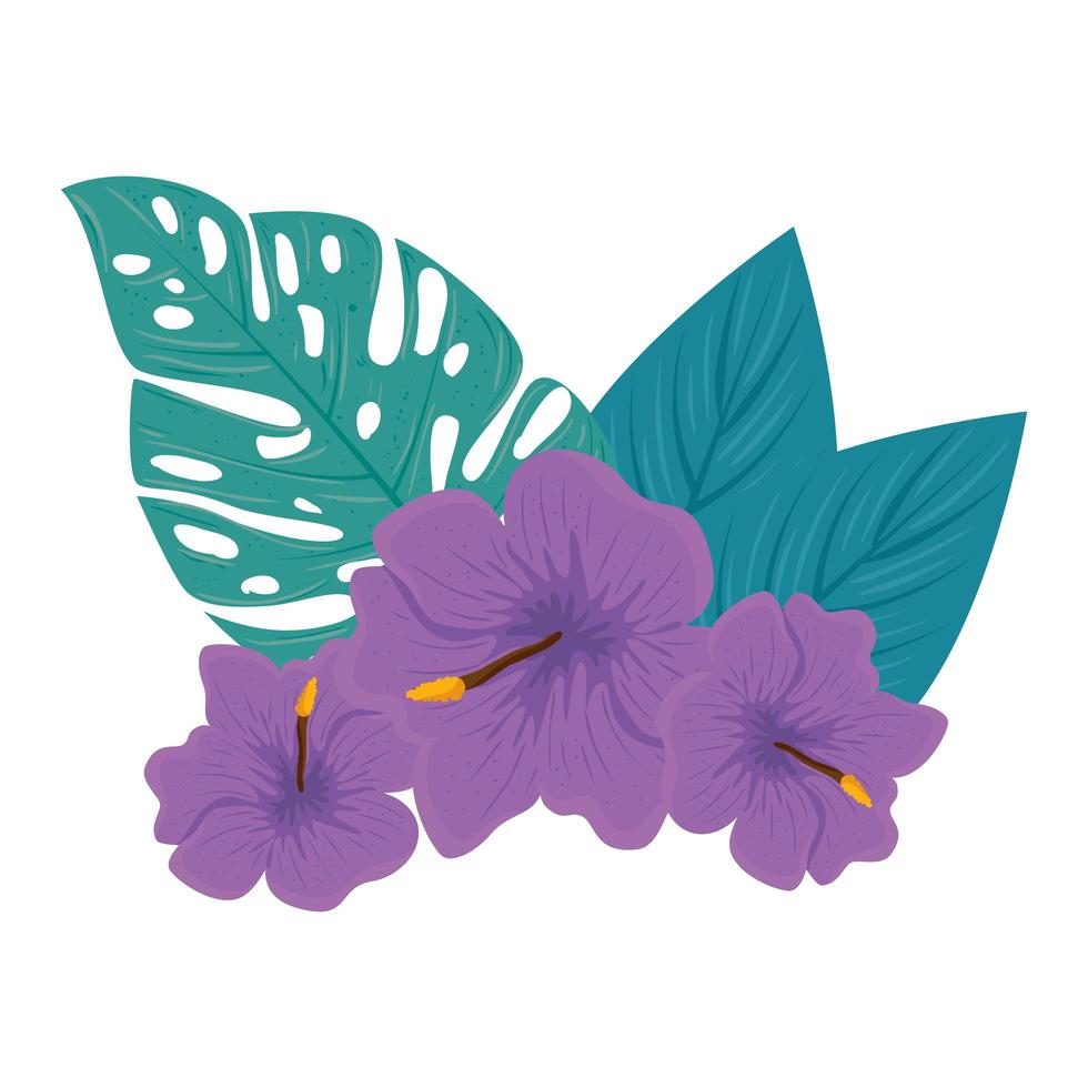decorazione di ibisco bellissimo colore viola, con foglie tropicali, botanica primavera estate vettore