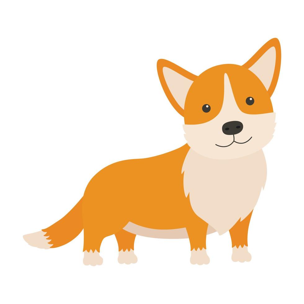 carino cane razza gallese corgi. vettore