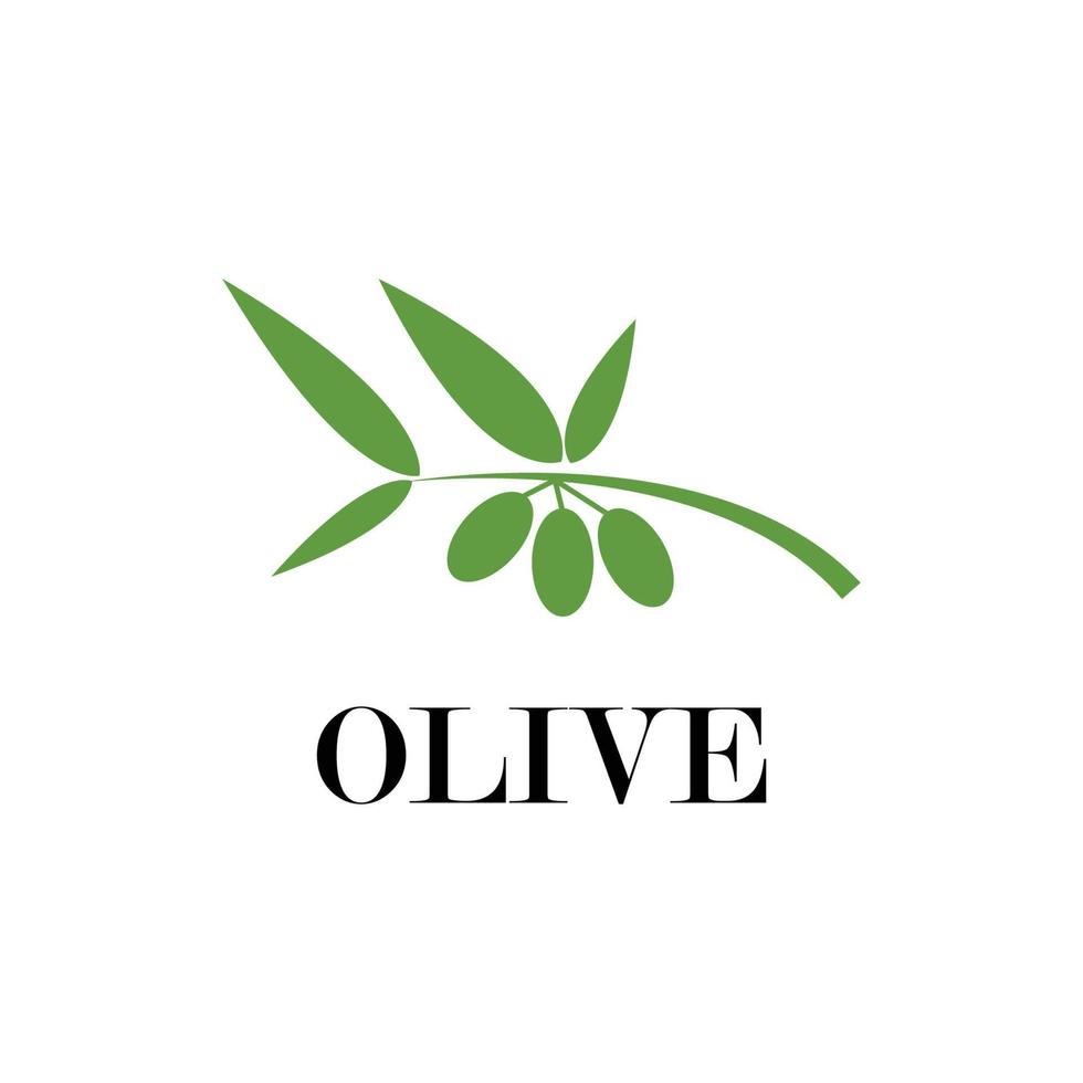 modello logo oliva vettore