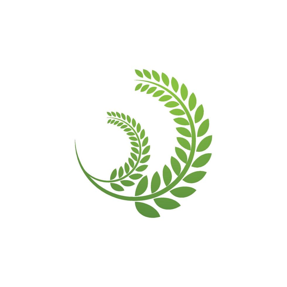 logo del grano agricolo vettore