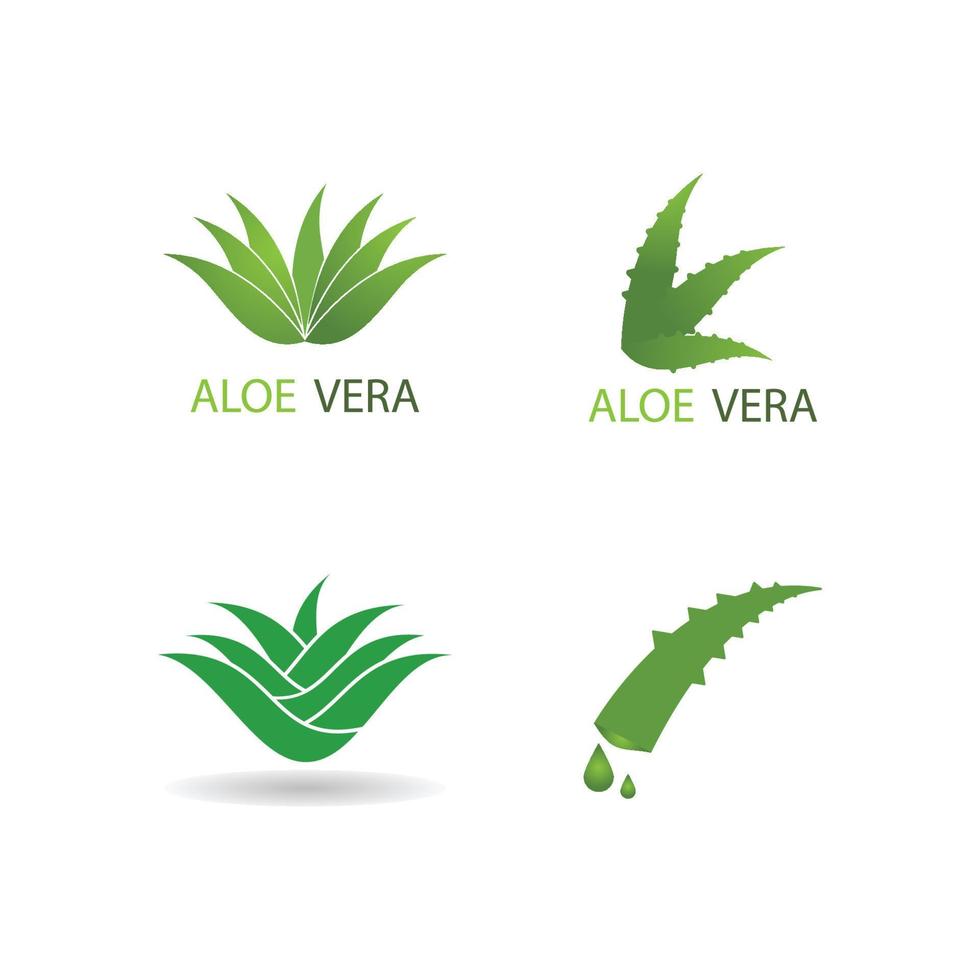 logo aloe vera vettore