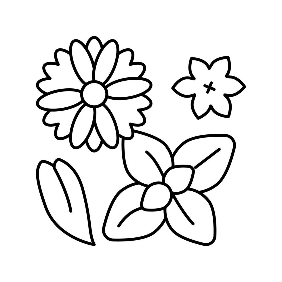 illustrazione vettoriale dell'icona della linea di fitoterapia dei fiori