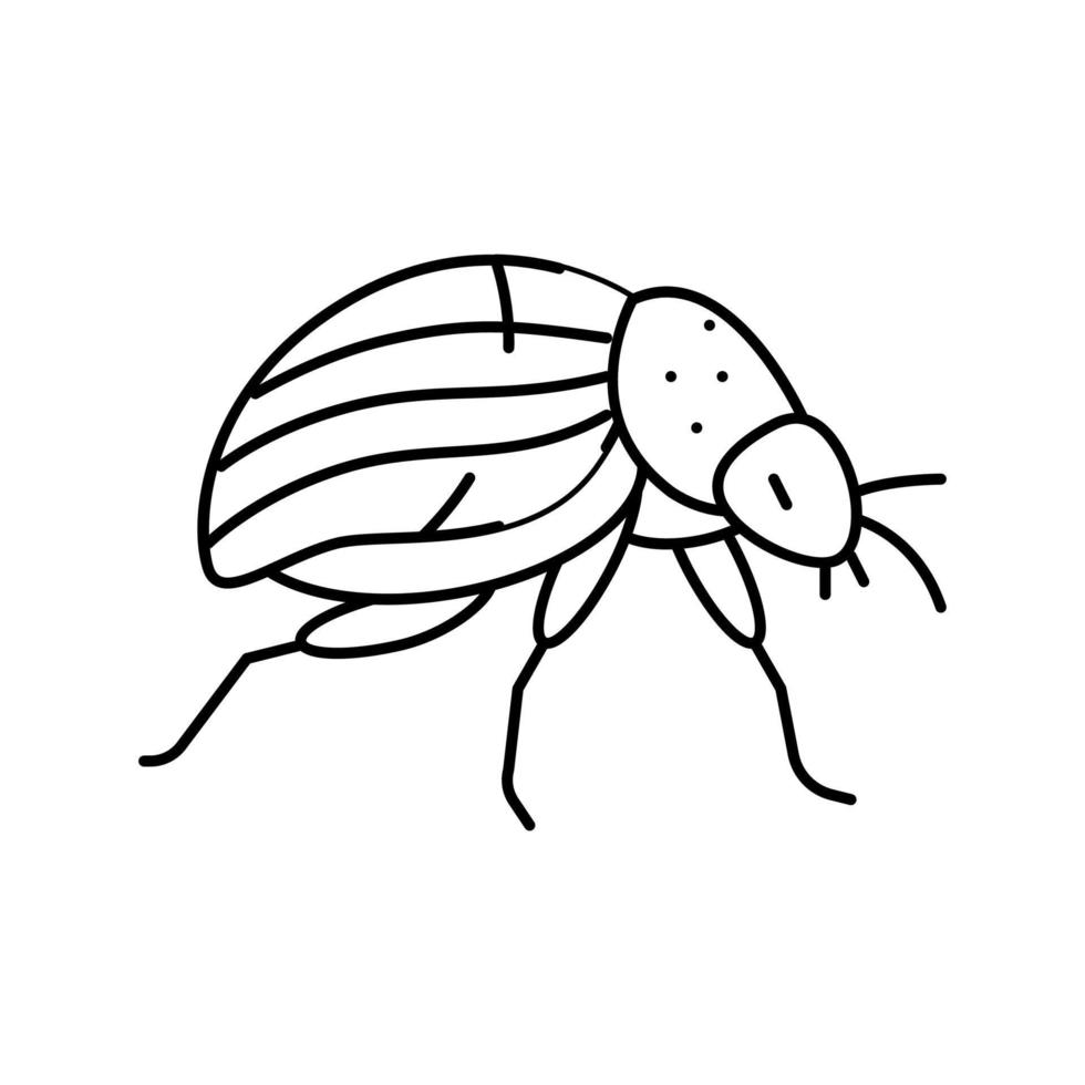 Colorado scarafaggio linea icona vettore illustrazione