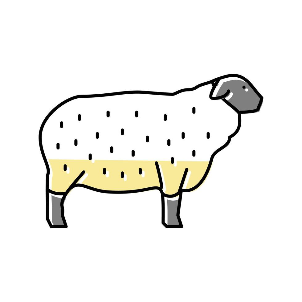 illustrazione vettoriale dell'icona del colore delle pecore suffolk