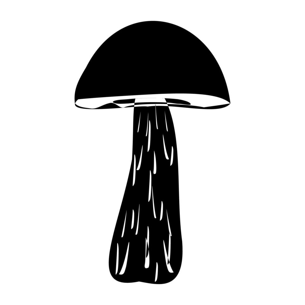 suillus fungo nel schema stile. commestibile biologico funghi. tartufo Marrone cap. foresta selvaggio funghi tipi. vettore illustrazione isolato su bianca sfondo.