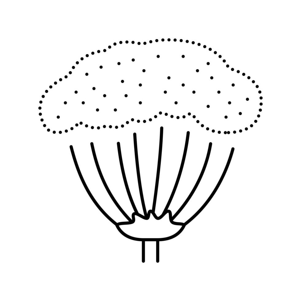 illustrazione vettoriale dell'icona della linea di piante di anice