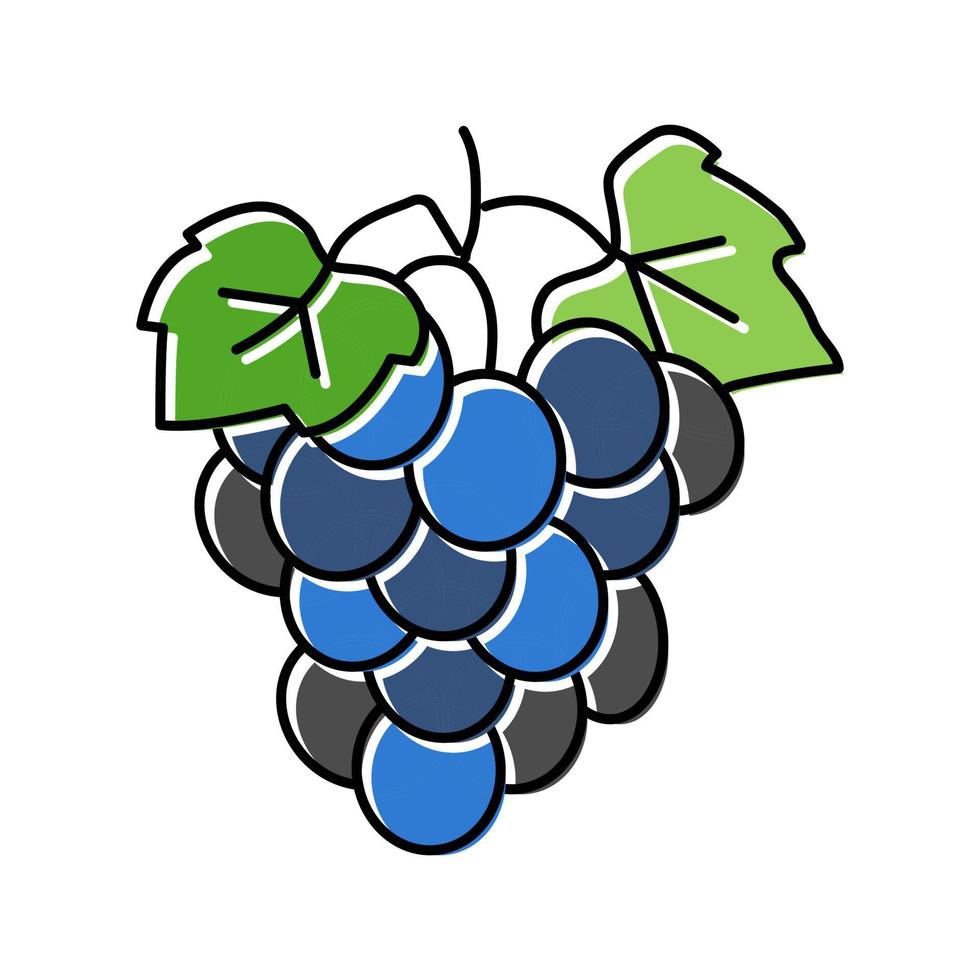blu uva vino colore icona vettore illustrazione