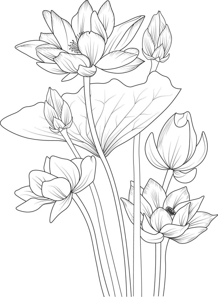 loto fiore schizzo arte, Vintage ▾ stile stampato per carino fiore colorazione pagine.vettore illustrazione di un' bellissimo fiore con un' mazzo di Ninfea, e le foglie. isolato su bianca sfondo. vettore