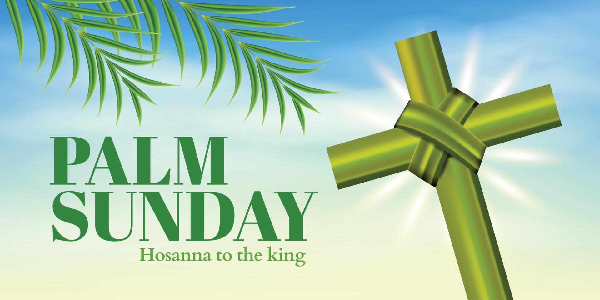 vettore illustrazione di cristiano palma Domenica con palma rami e le foglie e attraversare illustrazione