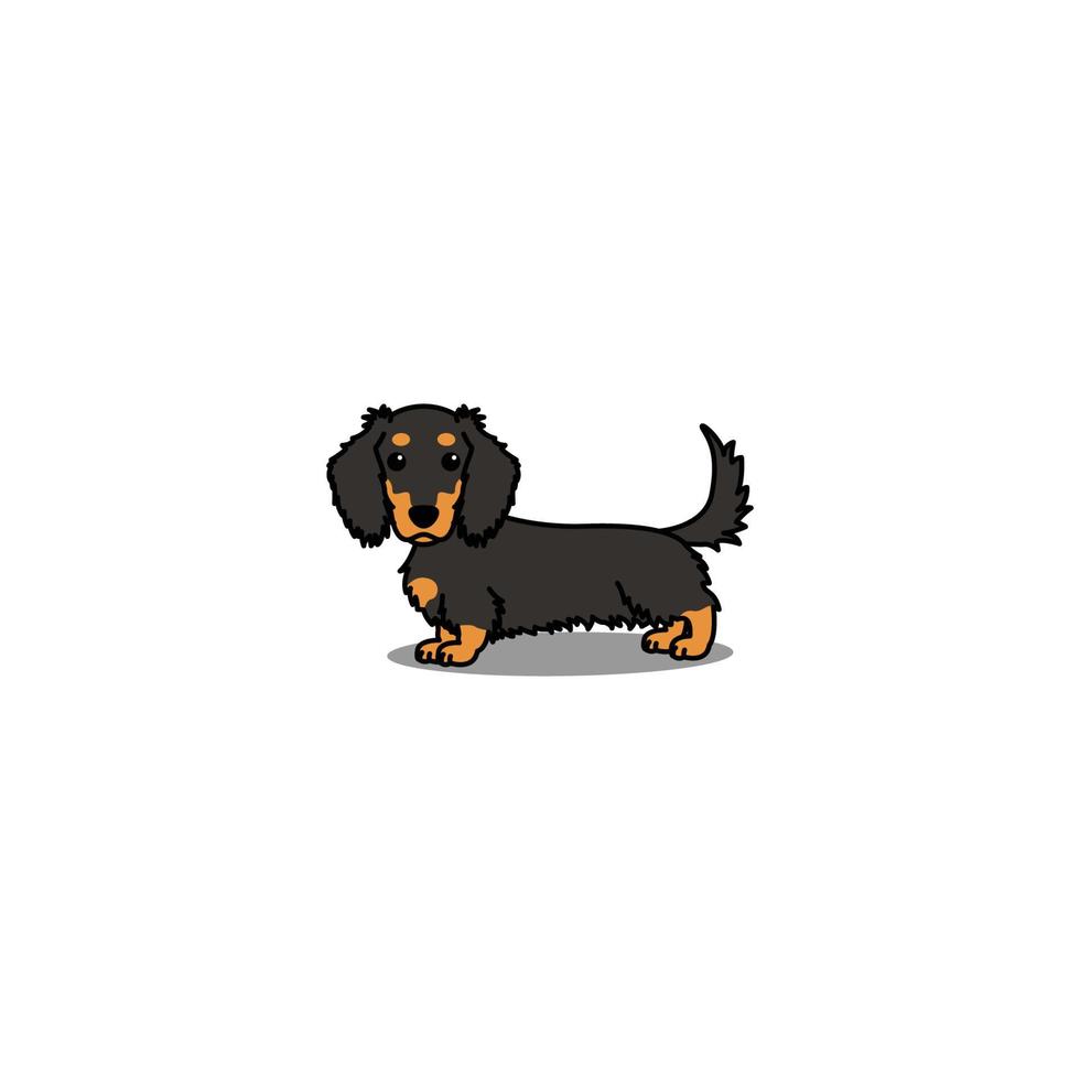 carino lungo dai capelli bassotto cane nero e abbronzatura cartone animato, vettore illustrazione