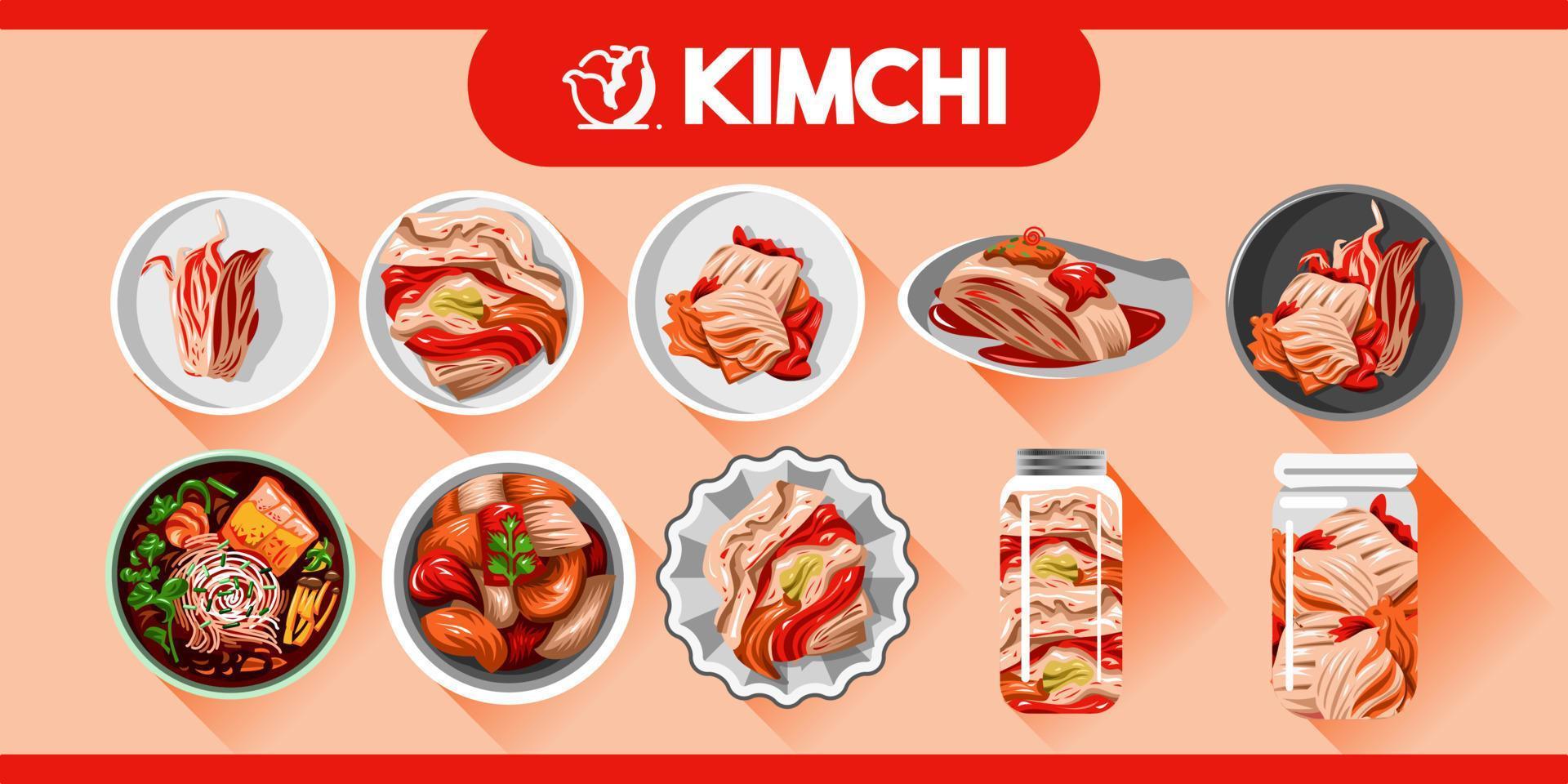 kimchi vettore impostato collezione grafico design