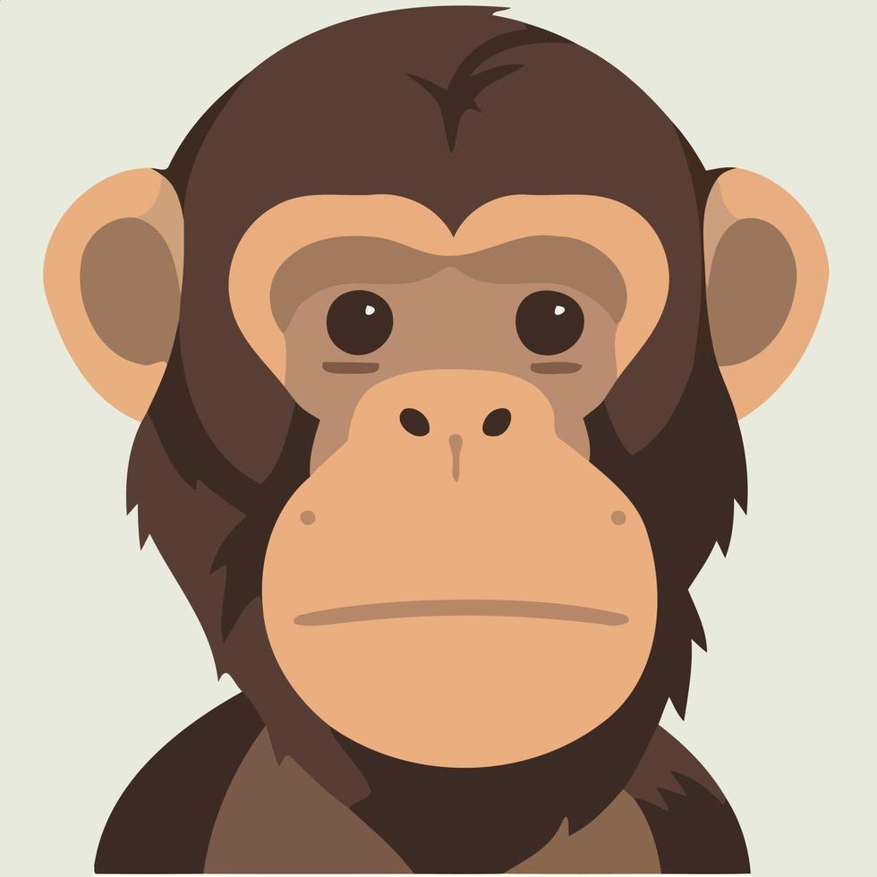animale mammifero carino primate scimpanzé vettore