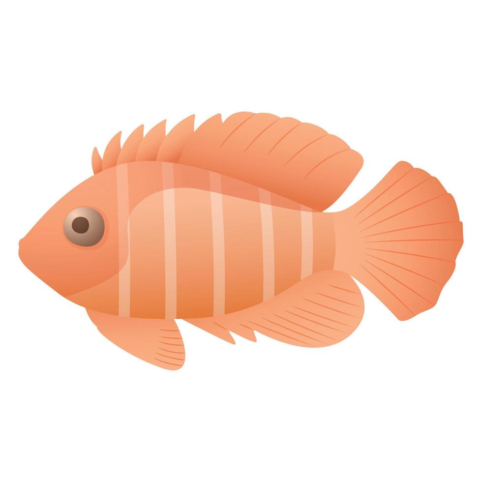 vettore isolato cartone animato illustrazione di un' pesce rosso.