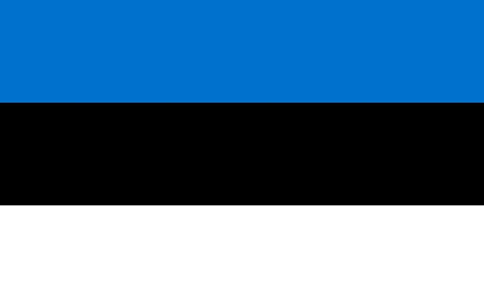 bandiera dell'estonia semplice illustrazione per il giorno dell'indipendenza o l'elezione vettore