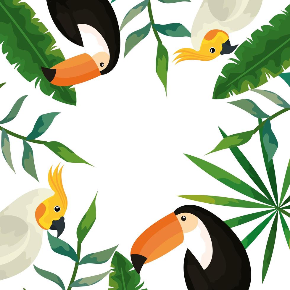 pappagalli e tucani in cornice con foglie tropicali vettore