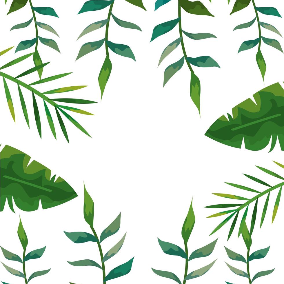 cornice dell'icona isolata di foglie naturali tropicali vettore