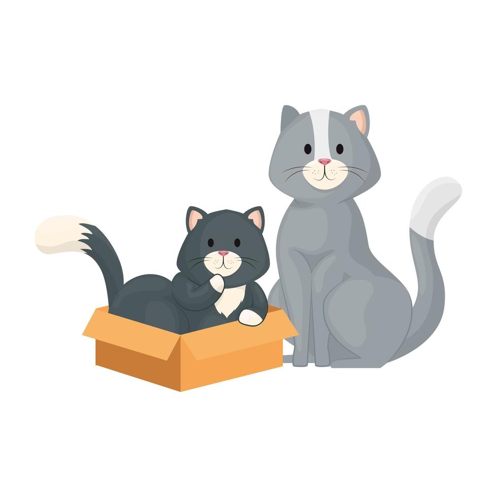 simpatici gatti piccoli con icona isolata scatola di cartone vettore