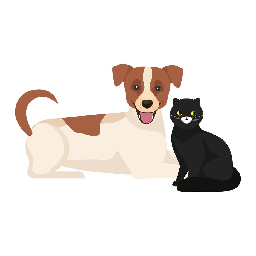 simpatico cane con gatto nero icone isolate vettore
