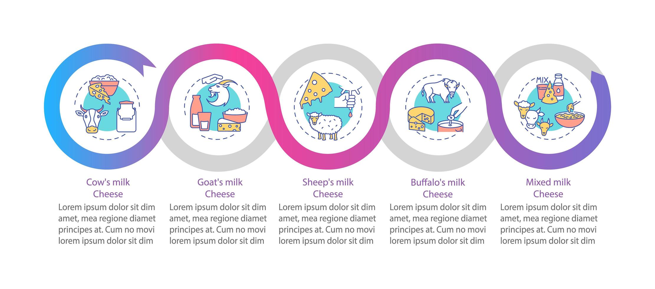 modello di infografica vettoriale di produzione di formaggio