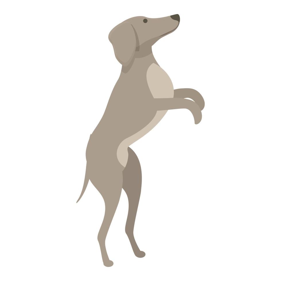 saltare levriero icona cartone animato vettore. cane animale vettore