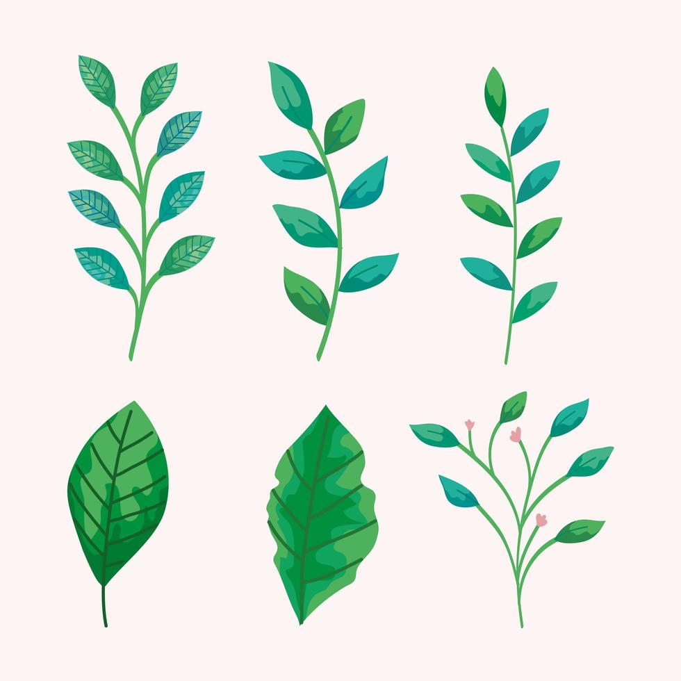 foglie isolate impostare disegno vettoriale