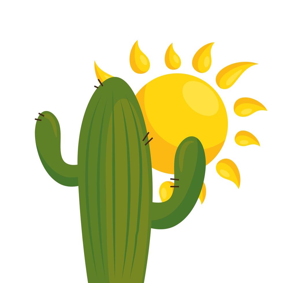 isolato pianta di cactus e sole disegno vettoriale
