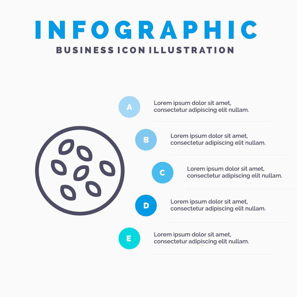 semi sesamo sesamo semi seamus linea icona con 5 passaggi presentazione infografica sfondo vettore