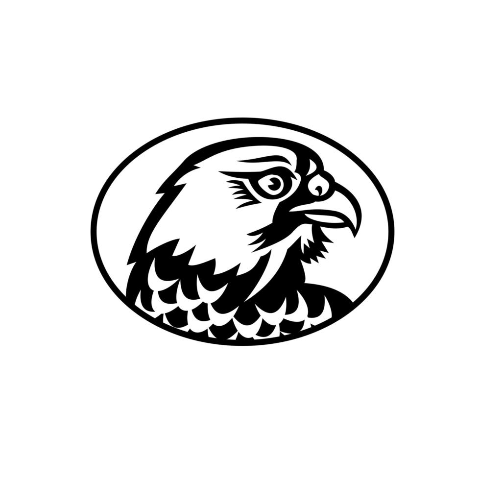 testa di falco pellegrino o mascotte laterale del falco anatra vettore