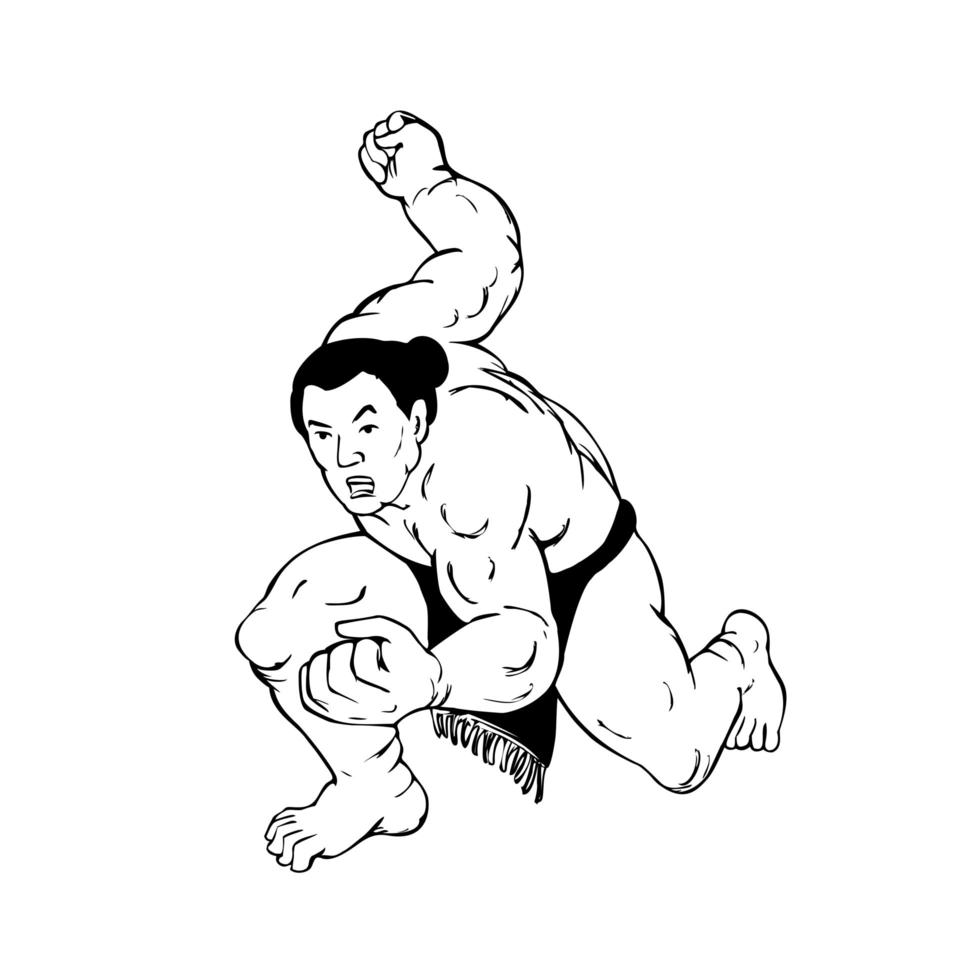 lottatore di sumo professionista o rikishi in posizione di combattimento vettore